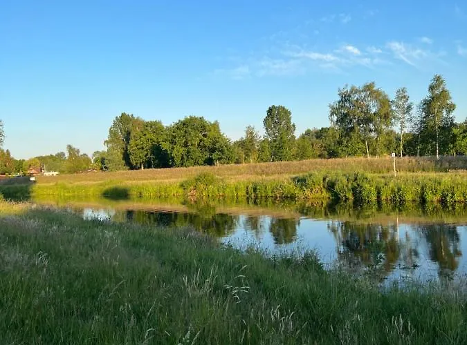 Ein Maerchenhaftes Haus Im Wald Wienhausen